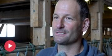Wolf Bauern Abschüsse