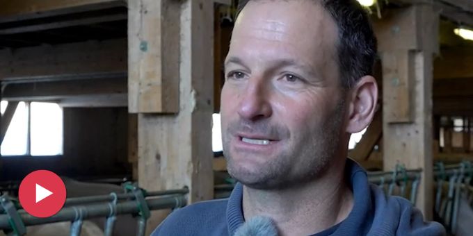 «Mal absprechen» - Bündner Bauern neidisch auf Walliser Wolf-Abschüsse