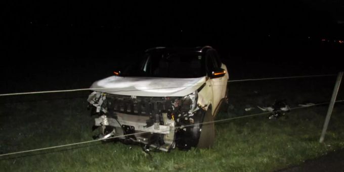 Die 23-jährige Fahrzeuglenkerin versuchte einem Tier auszuweichen und kollidierte mit Drahtzaun. Unfall