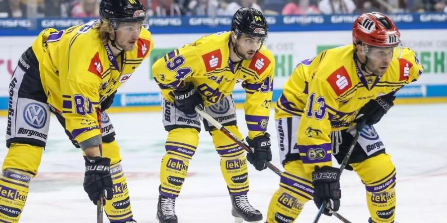 Am Dienstag soll sich die Zukunft der Krefeld Pinguine entscheiden. Foto: Andreas Gora/dpa