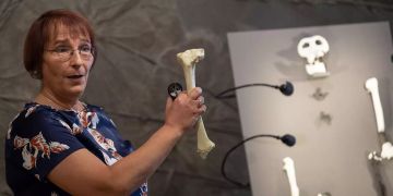 Vorstellung Fossilien-Funde in Tübingen
