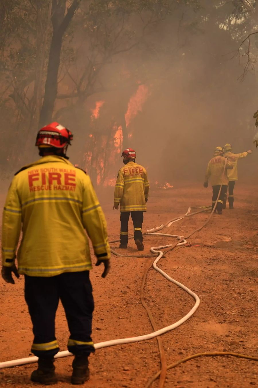 bushfeuer sydney