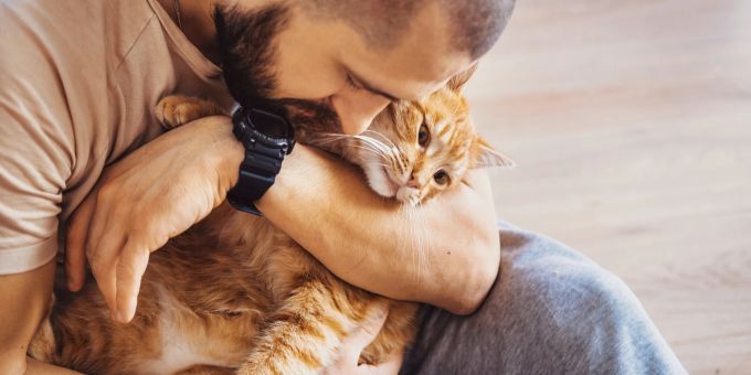 Katzen haben verschiedene Charaktere und Eigenschaften. (Symbolbild) Mann mit Katze