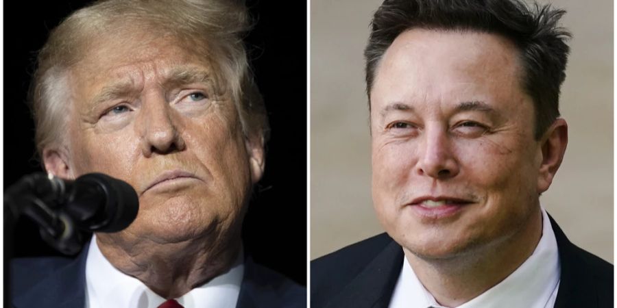 donald trump elon musk