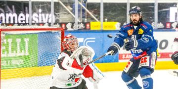 Nicolas Petan SLAPSHOT