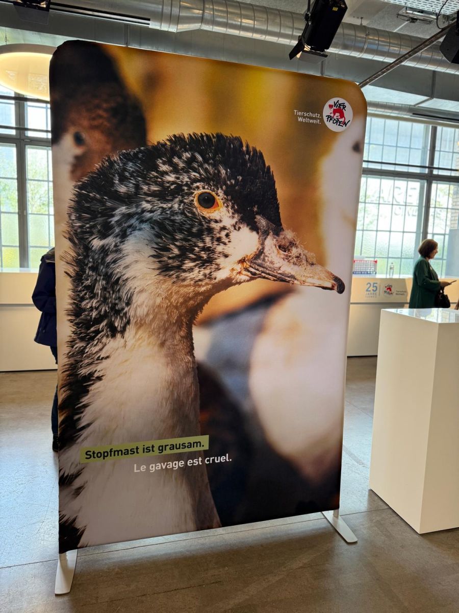 Ob Stopfmast, Echtpelz oder Zirkustiere: Die Wanderausstellung von VIER PFOTEN thematisiert Probleme und Erfolge.