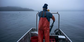 Hecht Egli Zugersee verboten