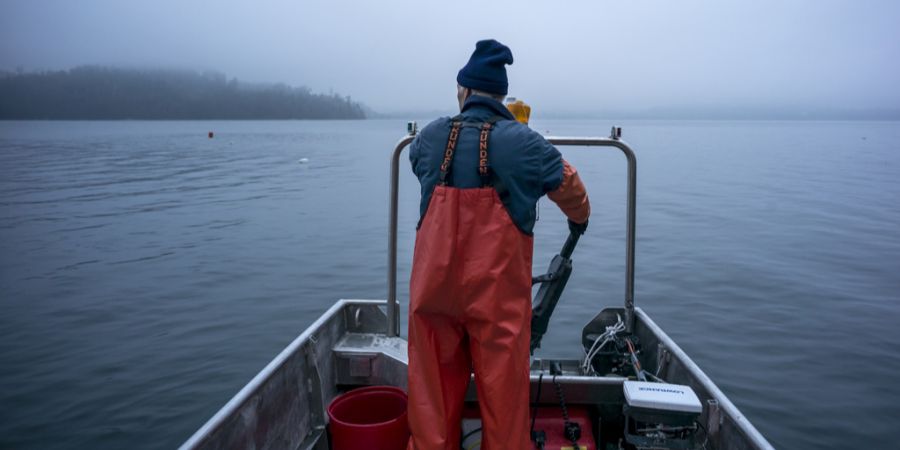 Hecht Egli Zugersee verboten