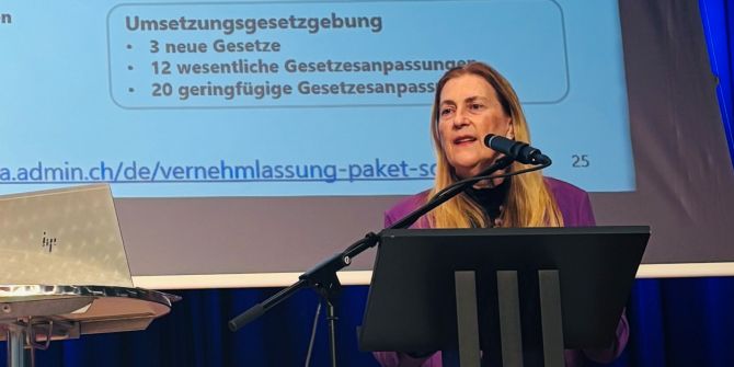 Helene Budliger Artieda Vortrag