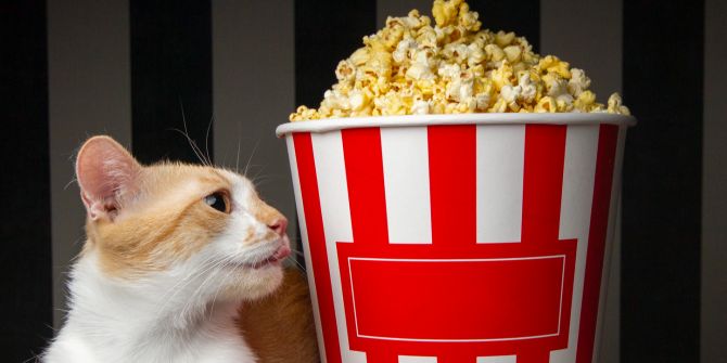Katze, Popcorn