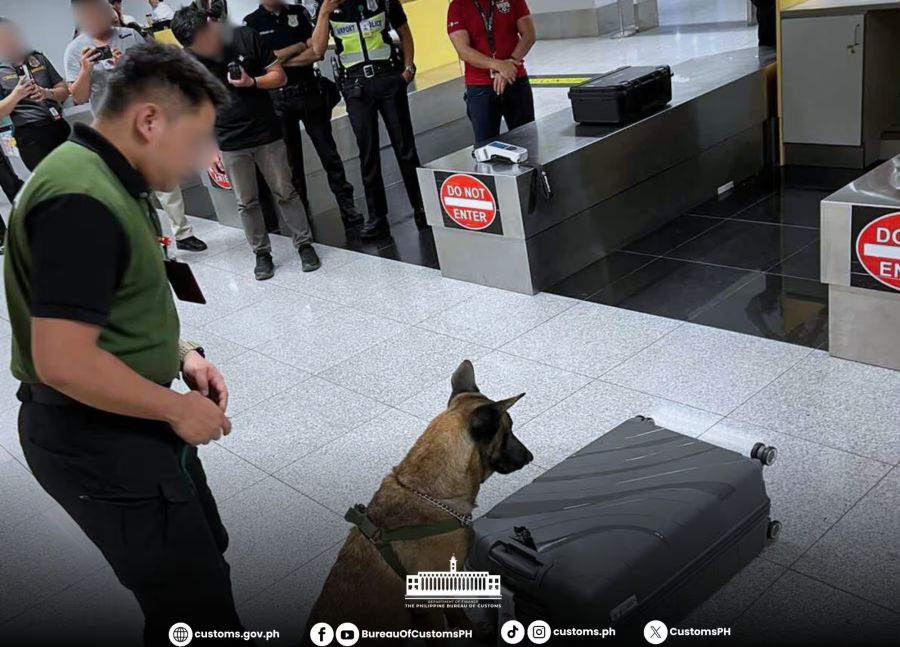 Hier beschnuppert der Hund den verdächtigen Koffer. (Archivbild)