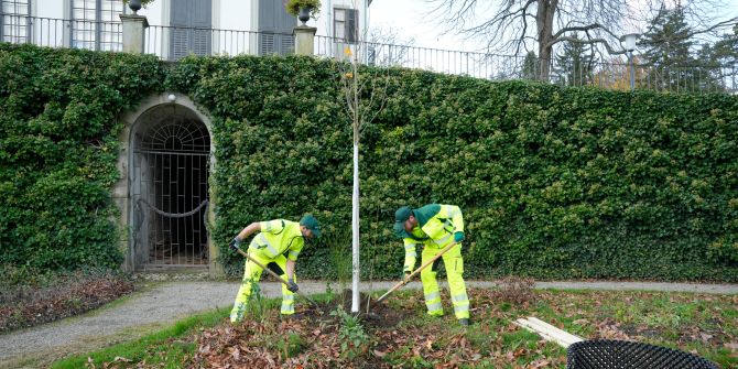 Stadtzürcher Quartiere