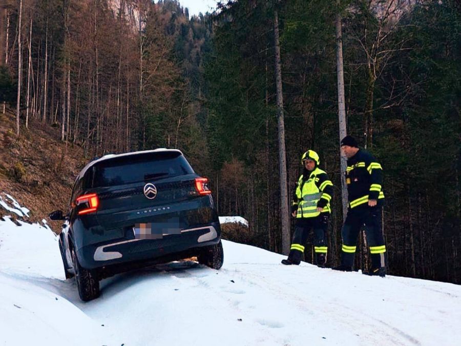 Die lokale Feuerwehr konnte den Mietwagen schliesslich bergen.