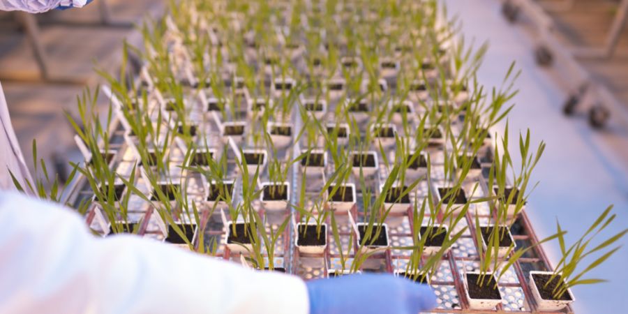 Die Syngenta Gruppe hat im ersten Quartal Umsatz und Profitabilität gesteigert. Der Agrochemiekonzern wuchs in allen vier Geschäftsbereichen und profitierte dabei von Währungseffekte...