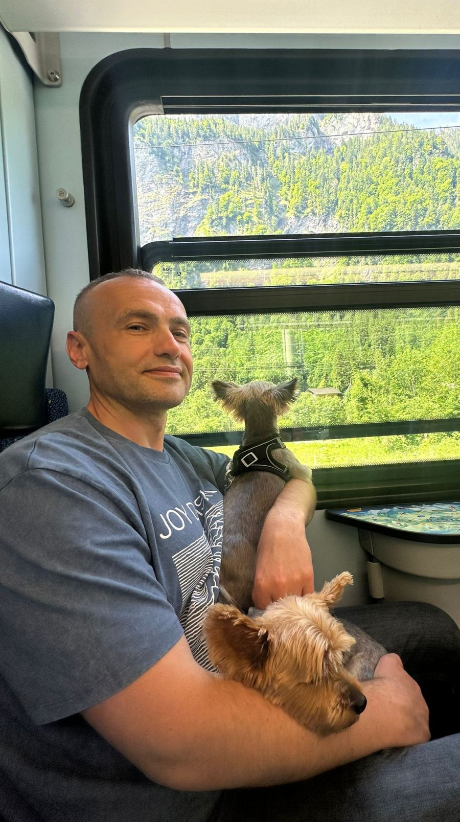 Bei einem Umzug in einer Notunterkunft, die ihm die Fachorganisation AOZ angeboten hat, müsste er seine Hunde zurücklassen.