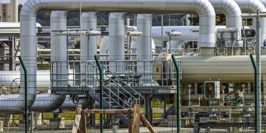 Bis zum Beginn der russischen Invasion in der Ukraine im Jahr 2022 wurde die Energieversorgung in Deutschland und vielen anderen EU-Staaten zu einem grossen Teil mithilfe von günstigem...