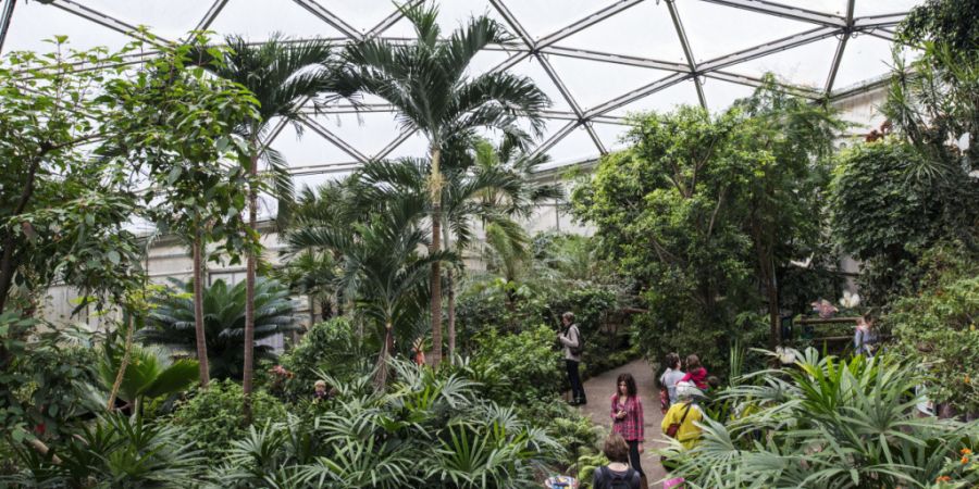 Sehenswürdigkeiten wie das Papiliorama in Kerzers haben zum Übernachtungsrekord im Kanton Freiburg beigetragen. (Archivbild)