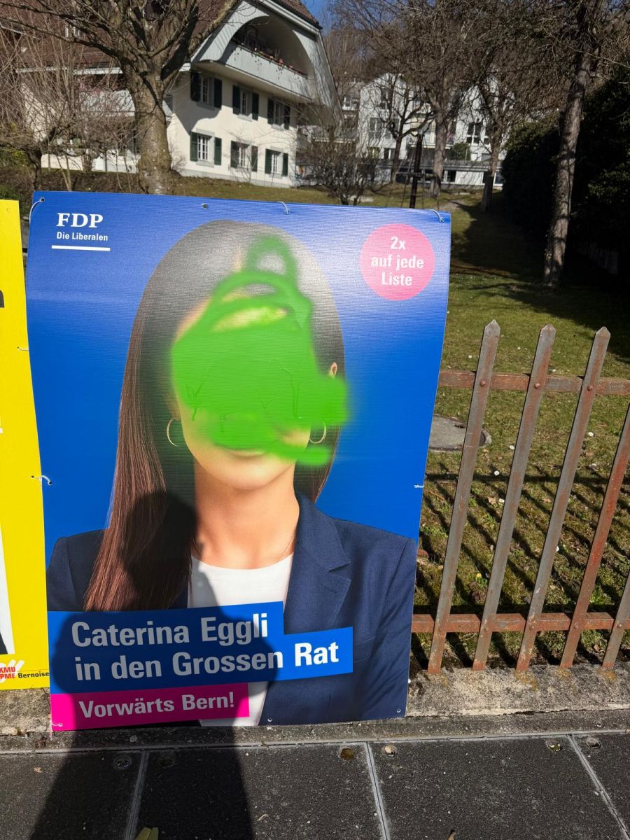 «Demokratie lässt sich nicht einfach wegsprayen!», so die FDPlerin.
