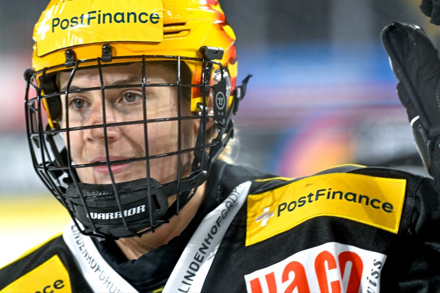 Eishockey Duvin