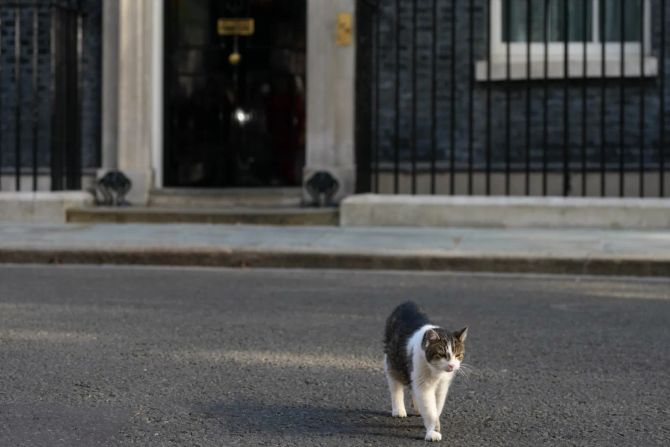 Larry Kater Downing Street