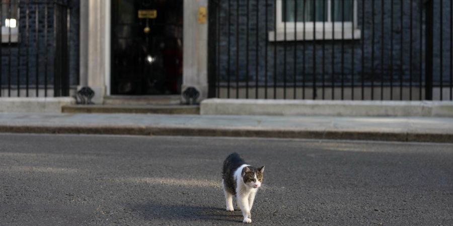 Larry Kater Downing Street