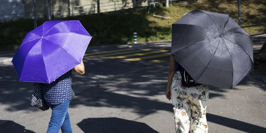 Da dürfte auch ein solcher Sonnenschirm helfen.