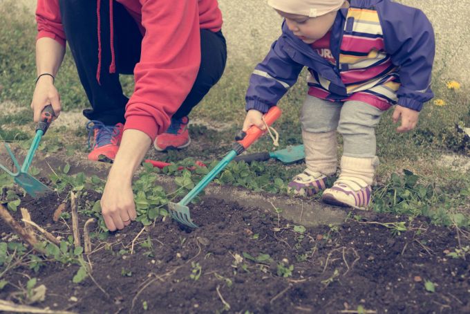 Es gibt diverse Arbeitsgeräte, mit der sich Unkraut so einfach wie gründlich entfernen lässt. Menschen beim Unkrautentfernen