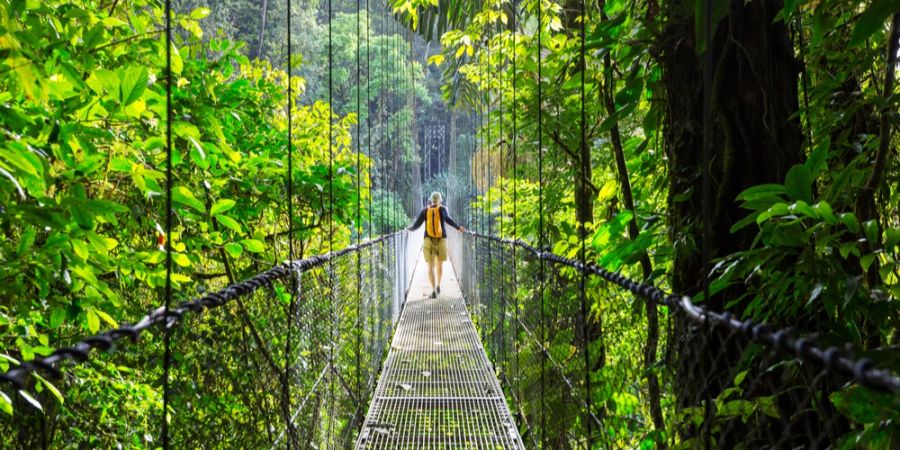 Mann Hängebrücke Dschungel Costa Rica