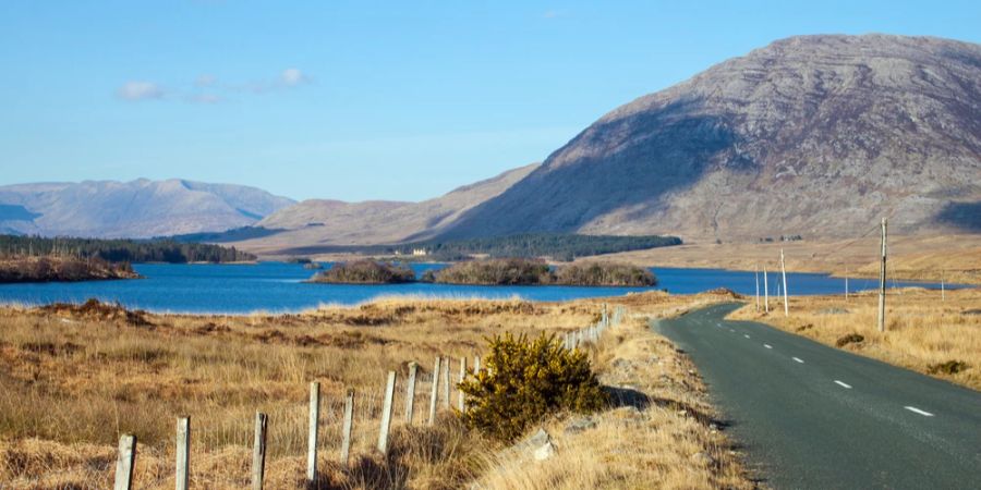 Landstrasse Connemara Felder Hügel See Berg