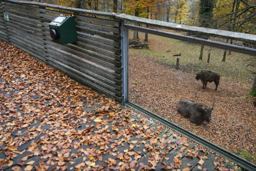 Tierpark Bern