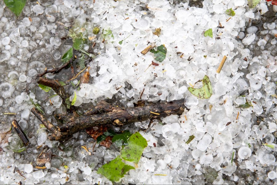 Hagel Tessin