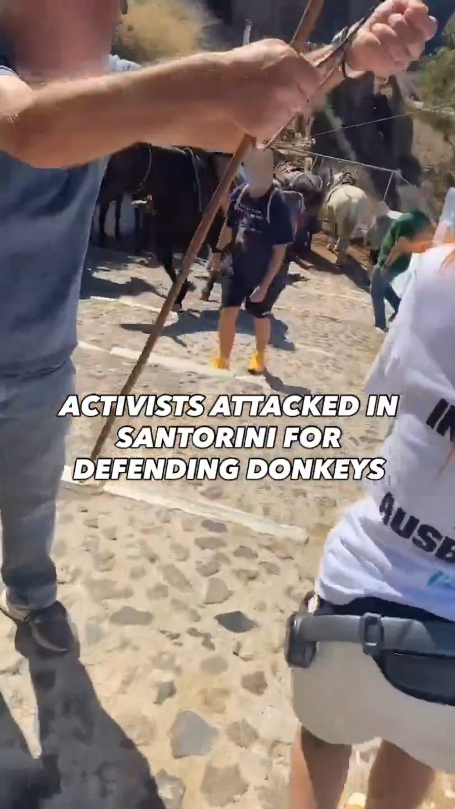 Peta kämpft schon länger dagegen und protestierte kürzlich. Dabei kam es zu Auseinandersetzungen.