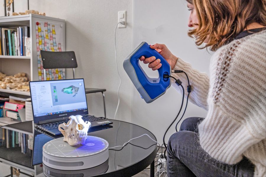 3D-Scanner