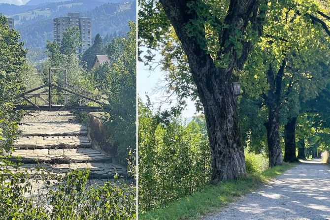 Die enorme Hitze macht auch der Thur zu schaffen. - pd