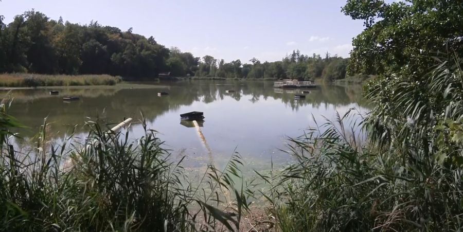 Weiher Lengwil