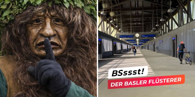 basler flüsterer