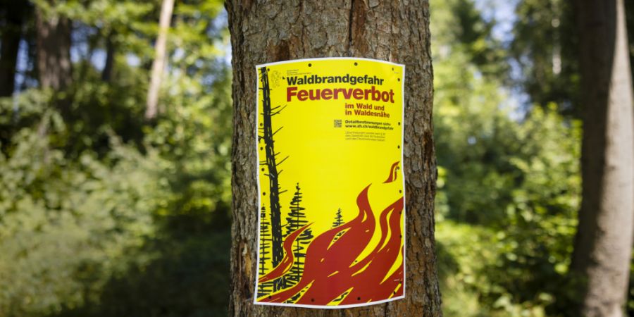 In Liechtenstein herrscht aktuell eine grosse Waldbrandgefahr. (Symbolbild)