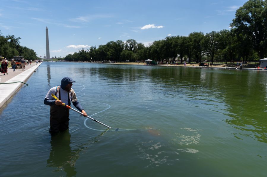 Wegen Algen ist der historische Pool in Washington grün statt blau.