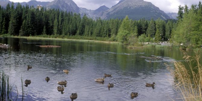 Tatra