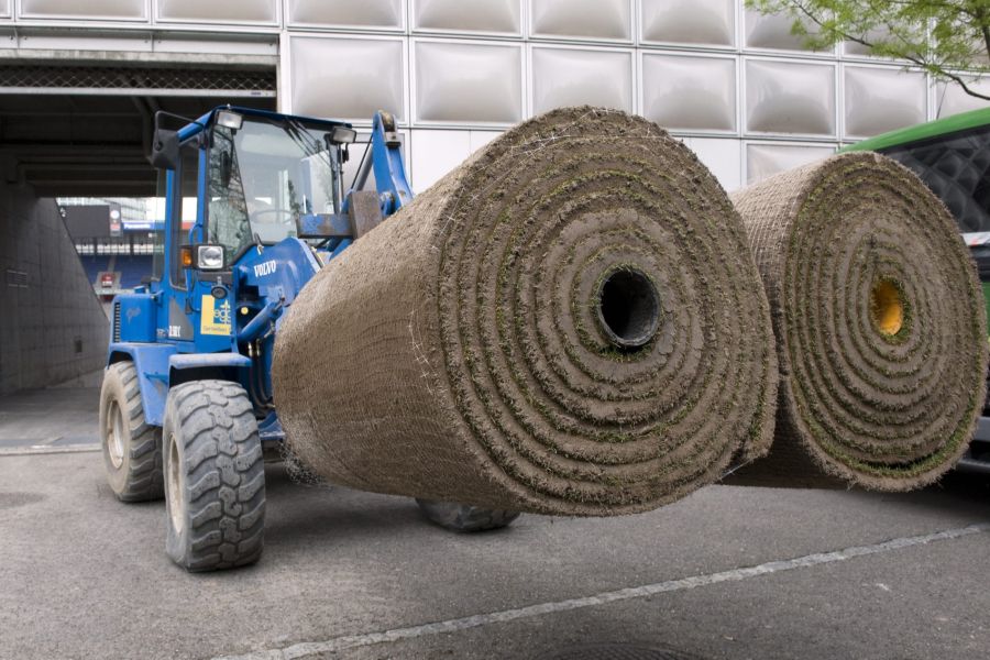 Rollrasen