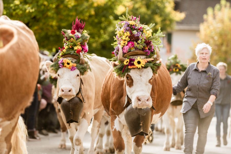 Älplerfest Lenk