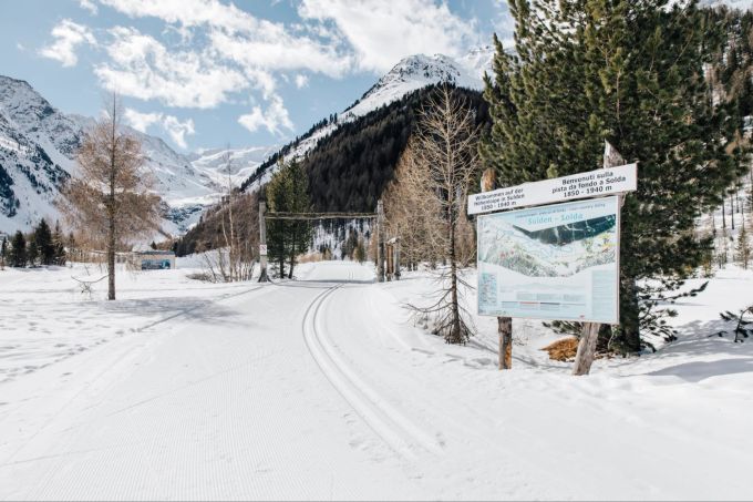 Langlaufen in Sulden: Die Saison startet früh und dauert bis zum Beginn der Apfelblüte im Tal. Schnee Wald Berge Skispur