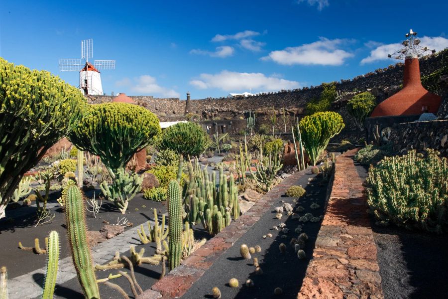 Aber auch die Natur ist einzigartig für Lanzarote.