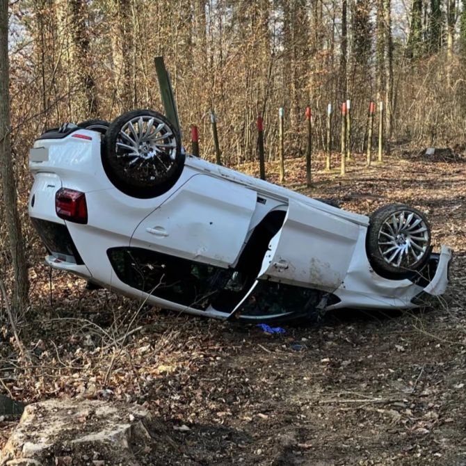 Auto Wald Dach überschlagen