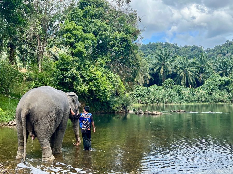 Elefantencamps in Thailand