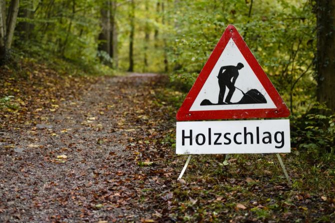 Holzschlag