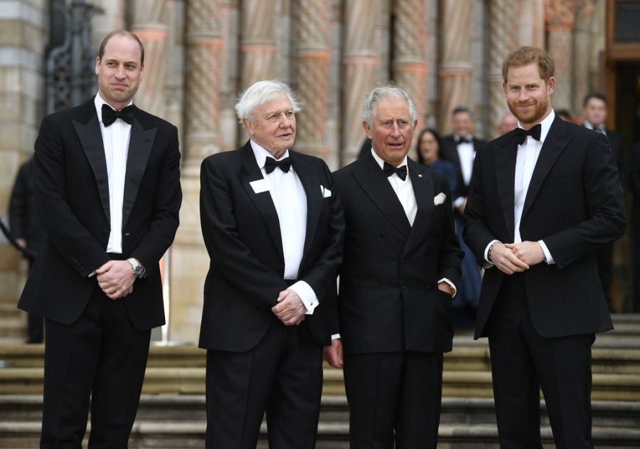 Prinz Harry Prinz William