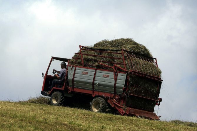 Silage Heuballen Überfluss Ernte