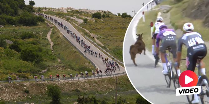 Giro d'Italia