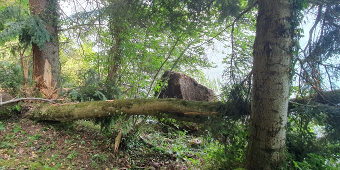 Abgelagerte grosse Felsblöcke im Uferbereich. Uferweg am Ägerisee ZG